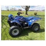 994 Polaris 4x4 Magnum 425 Liquid Four Stroke
