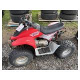 Mini 4-Wheeler