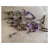 Horse Tack