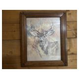Deer Picture