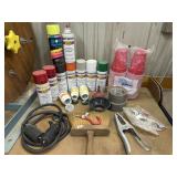 Spray paints brush, bolts