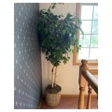 House Artificial Plant