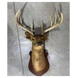 Shoulder mounted buck