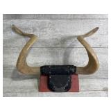 Mounted steer horns