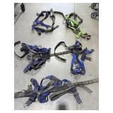Harnesses