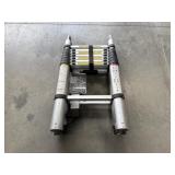 Multi purpose telescopic ladder