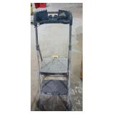 Cosco Two-Step Folding Ladder