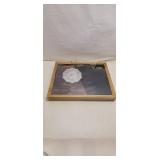 Display Case - New in Packaging