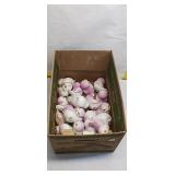 24 Adorable Spritz Bird Figurines - Target