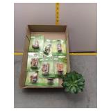Whimsical Mini Garden Figurines & Succulent