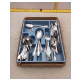 Silverware Collection in Organizer