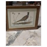 Framed Ring-Necked Pheasant Wildlife Art