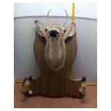 Rustic Taxidermy Deer Head Wall Mount with Hoof Ho