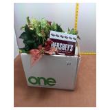 Hershey
