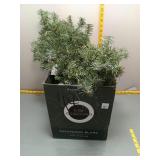 Artificial Pine Garland & Tree Lot