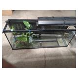 Large Glass Terrarium w/ Lid & Artificial Plants