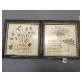 Pressed Flower Botanical Framed Prints, Pair