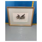 Peregrine Falcon Audubon Print, Framed