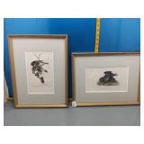 Audubon Black Vulture or Carrion Crow Print