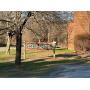 Foreclosure: 2 Commercial Condos in Woodstock, VT