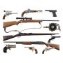 (1733) Summer Firearms Online Auction