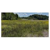 Vernon, VT - Two Property Real Estate Auctions