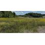 Vernon, VT - Two Property Real Estate Auctions