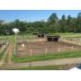 Foreclosure: 16.5+/- Acres with Equestrian Center
