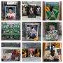 Collectible Sports Trading Cards (1280)