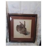 Framed rabbit print