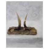 Animal horn set probably to hold salt and pepper