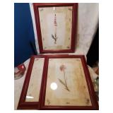 Group of three framed flora art fourteen by