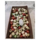 Shoebox of decorator bird eggs