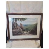 Frame\nD mountain overlook print