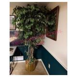 7ft Artificial Ficus Tree w/ Pot