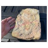 Carved Sandstone Rock in Unusual Design