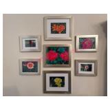 (DR) 7 Framed Floral Prints
