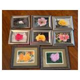 (DR) 7 Framed Floral Prints