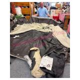 Nice Coleman Sundome 10