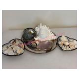 Decorative Shells on Tray