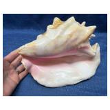 Large Natural Conch Shell Display Piece