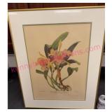 Vtg Framed Lithograph #6 by Andrey Avinoff 22x28
