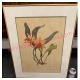 Vtg Framed Lithograph #5 by Andrey Avinoff 22x28