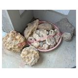 Fossilized Rocks on rear porch