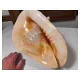 X-Large Conch Shell Sea Shell Decor