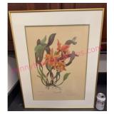 Vtg Framed Lithograph #1 by Andrey Avinoff 22x28