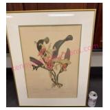 Vtg Framed Lithograph #2 by Andrey Avinoff 22x28