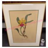 Vtg Framed Lithograph #3 by Andrey Avinoff 22x28