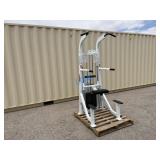 HOIST Chin / Dip Assist Fitness Machine