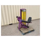 CYBEX Leg Extension Fitness Machine